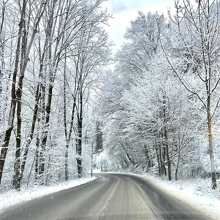 Dovolenkový dom Slnecna Pod Lesom *
