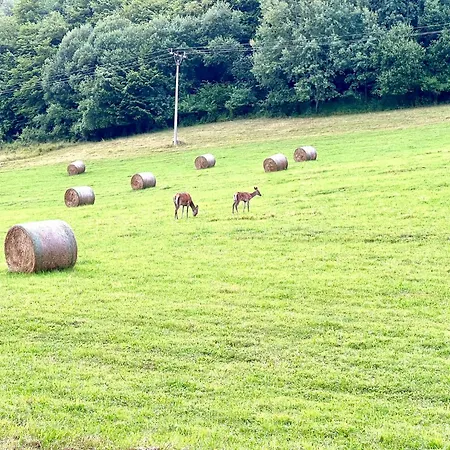 Slnecna Pod Lesom Prázdninový dům Horný Vadičov